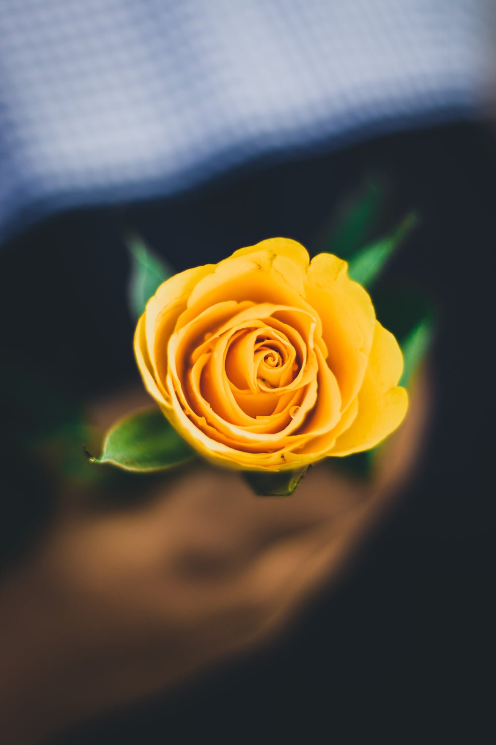 Flowers - Resin Joy Store