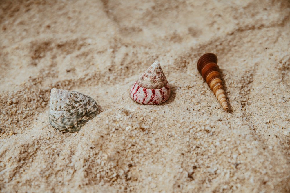 Sea - Resin Joy Store